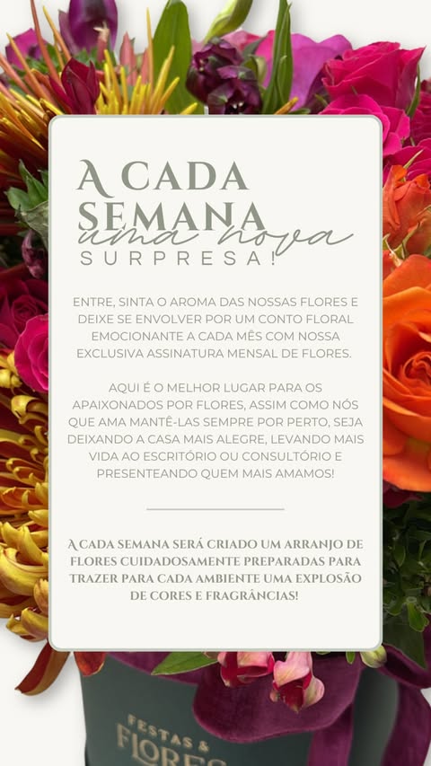 Apresentação da assinatura floral com um arranjo colorido da Festas & Flores